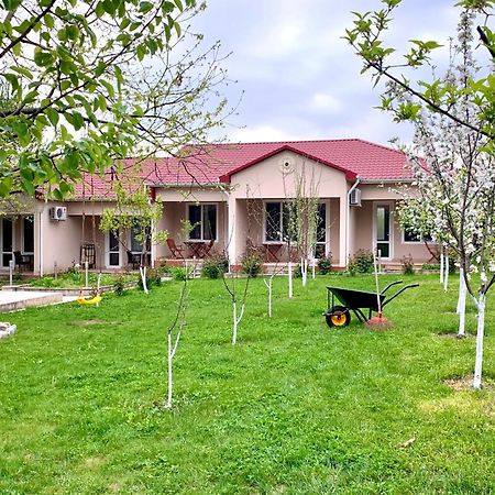 Cozy Family Cottages Vendam Zewnętrze zdjęcie