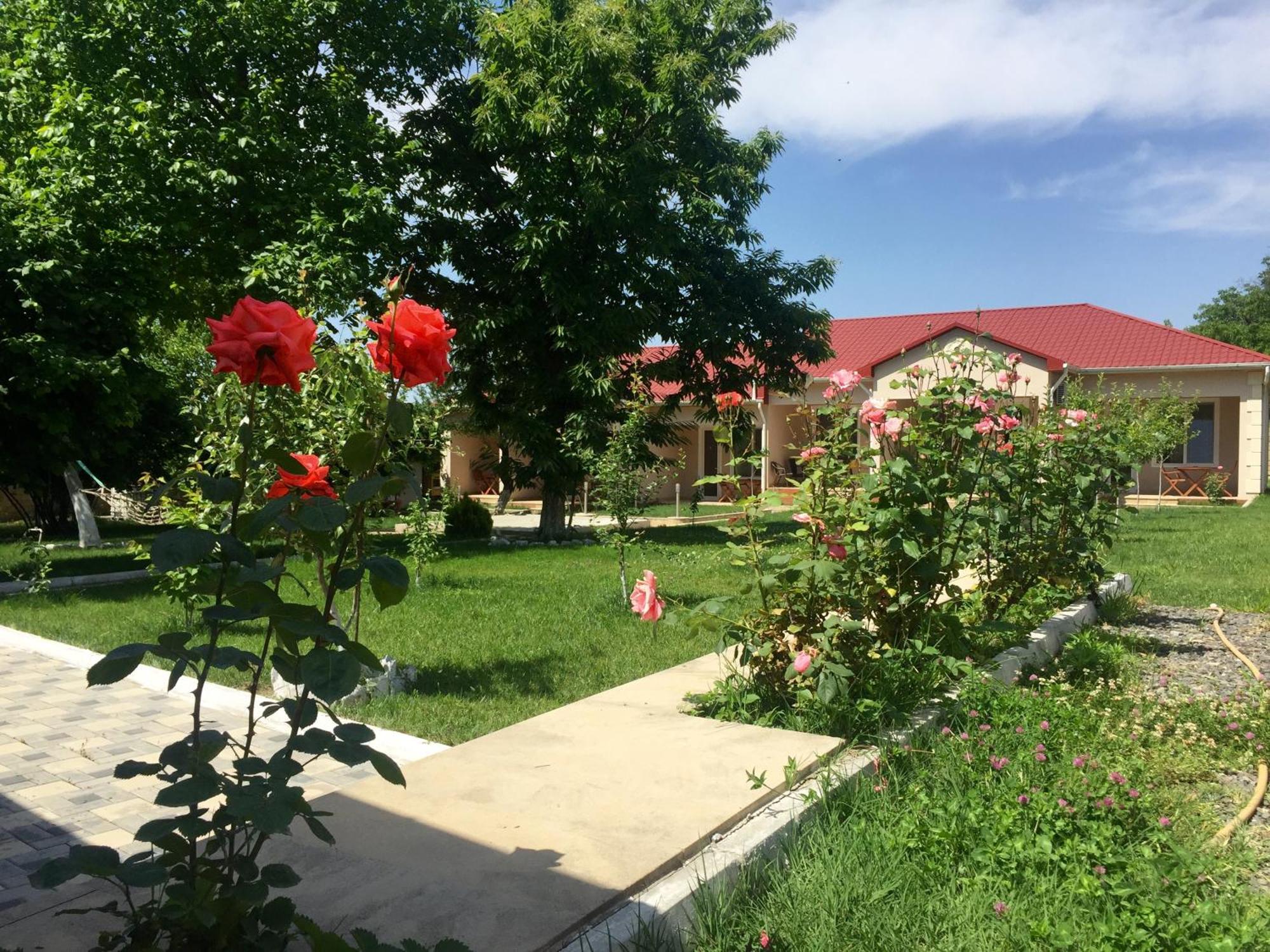 Cozy Family Cottages Vendam Zewnętrze zdjęcie