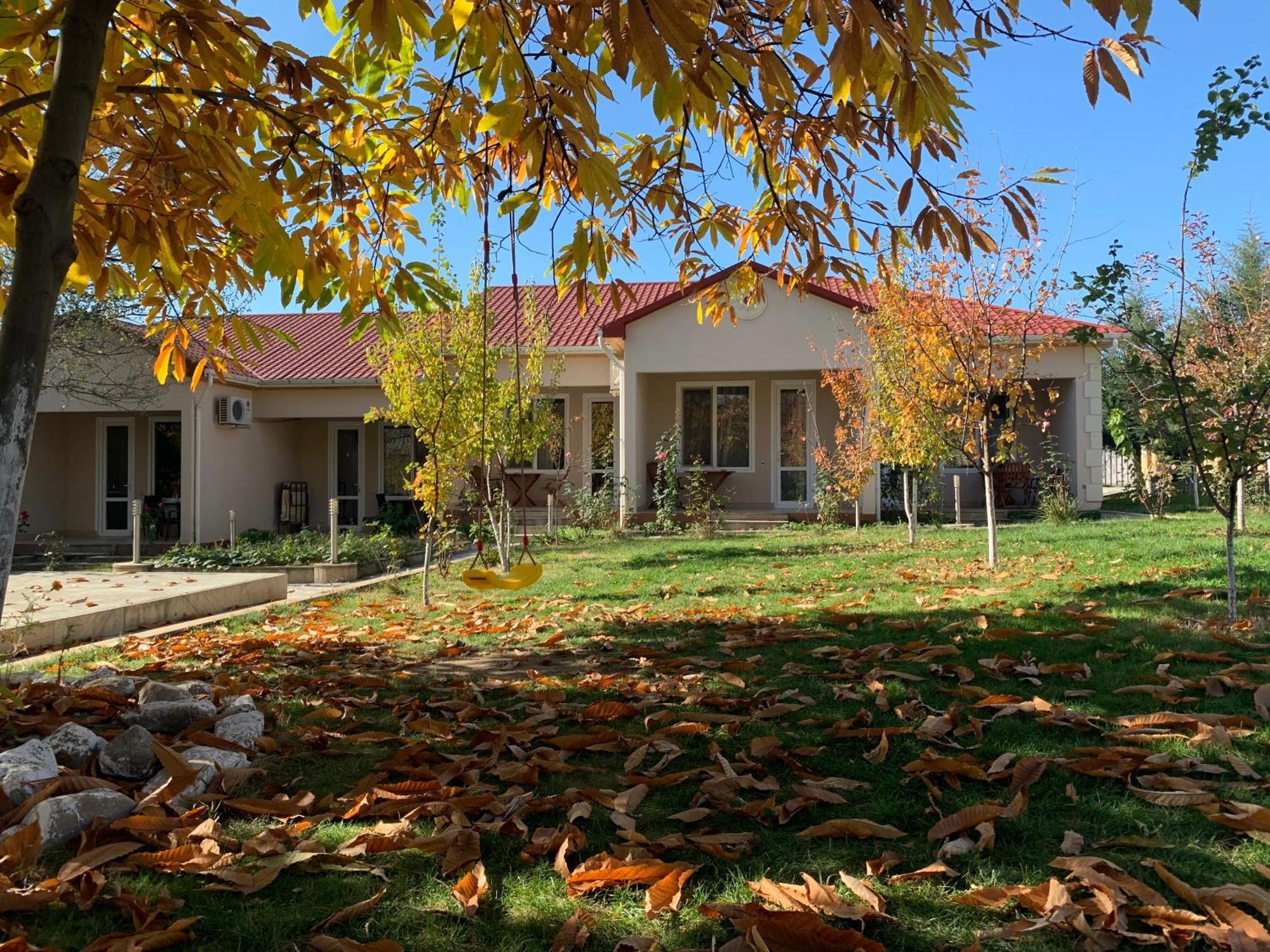 Cozy Family Cottages Vendam Zewnętrze zdjęcie